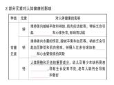 初中化學新人教版九年級下冊第十一單元課題1 化學與人體健康考點練習課件2025春