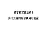 初中化學(xué)新人教版九年級(jí)下冊(cè)第九單元跨學(xué)科實(shí)踐活動(dòng)八 海洋資源的綜合利用與制鹽課堂作業(yè)課件2025春