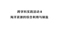 化学九年级下册（2024）跨学科实践活动8 海洋资源的综合利用与制盐作业ppt课件