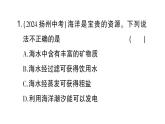 初中化學(xué)新人教版九年級(jí)下冊(cè)第九單元跨學(xué)科實(shí)踐活動(dòng)八 海洋資源的綜合利用與制鹽課堂作業(yè)課件2025春