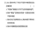 初中化學(xué)新人教版九年級(jí)下冊(cè)第九單元跨學(xué)科實(shí)踐活動(dòng)八 海洋資源的綜合利用與制鹽課堂作業(yè)課件2025春