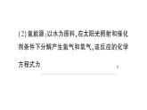 初中化學(xué)新人教版九年級(jí)下冊(cè)第九單元跨學(xué)科實(shí)踐活動(dòng)八 海洋資源的綜合利用與制鹽課堂作業(yè)課件2025春