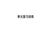 初中化學(xué)新人教版九年級下冊第九單元復(fù)習(xí)訓(xùn)練課堂作業(yè)課件2025春