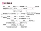 初中化學(xué)新人教版九年級下冊第九單元復(fù)習(xí)訓(xùn)練課堂作業(yè)課件2025春