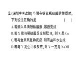 初中化學(xué)新人教版九年級下冊第十單元實驗活動八 常見酸、堿的化學(xué)性質(zhì)課堂作業(yè)課件2025春