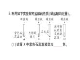 初中化學(xué)新人教版九年級下冊第十單元實驗活動八 常見酸、堿的化學(xué)性質(zhì)課堂作業(yè)課件2025春