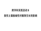 初中化學(xué)新人教版九年級(jí)下冊(cè)第十單元跨學(xué)科實(shí)踐活動(dòng)九 探究土壤酸堿性對(duì)植物生長(zhǎng)的影響課堂作業(yè)課件2025春
