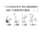 初中化學(xué)新人教版九年級(jí)下冊(cè)第十單元跨學(xué)科實(shí)踐活動(dòng)九 探究土壤酸堿性對(duì)植物生長(zhǎng)的影響課堂作業(yè)課件2025春