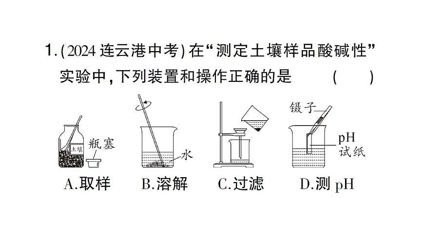 初中化学新人教版九年级下册第十单元跨学科实践活动九 探究土壤酸碱性对植物生长的影响课堂作业课件2025春第2页