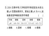 初中化學(xué)新人教版九年級(jí)下冊(cè)第十單元跨學(xué)科實(shí)踐活動(dòng)九 探究土壤酸堿性對(duì)植物生長(zhǎng)的影響課堂作業(yè)課件2025春