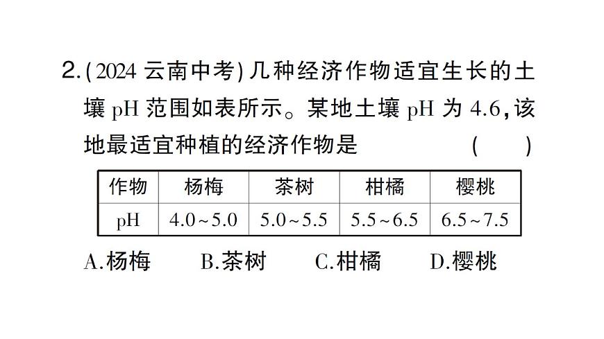 初中化学新人教版九年级下册第十单元跨学科实践活动九 探究土壤酸碱性对植物生长的影响课堂作业课件2025春第3页