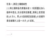 初中化學(xué)新人教版九年級(jí)下冊(cè)第十單元跨學(xué)科實(shí)踐活動(dòng)九 探究土壤酸堿性對(duì)植物生長(zhǎng)的影響課堂作業(yè)課件2025春