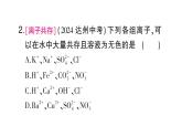 初中化學(xué)新人教版九年級(jí)下冊(cè)第十單元專(zhuān)題七 物質(zhì)的共存與除雜大單元 整合課堂作業(yè)課件2025春