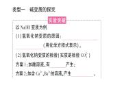 初中化學(xué)新人教版九年級(jí)下冊(cè)第十單元專(zhuān)題九 酸、堿、鹽的實(shí)驗(yàn)探究實(shí)驗(yàn)專(zhuān)題課堂作業(yè)課件2025春