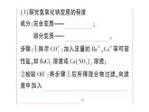初中化學(xué)新人教版九年級(jí)下冊(cè)第十單元專(zhuān)題九 酸、堿、鹽的實(shí)驗(yàn)探究實(shí)驗(yàn)專(zhuān)題課堂作業(yè)課件2025春