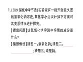 初中化學(xué)新人教版九年級(jí)下冊(cè)第十單元專(zhuān)題九 酸、堿、鹽的實(shí)驗(yàn)探究實(shí)驗(yàn)專(zhuān)題課堂作業(yè)課件2025春