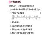 初中化學(xué)新人教版九年級(jí)下冊(cè)第十單元復(fù)習(xí)訓(xùn)練課堂作業(yè)課件2025春