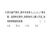 初中化學新人教版九年級下冊第十一單元課題1第一課時 人體中的元素課堂作業(yè)課件2025春