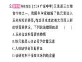 初中化學(xué)新人教版九年級(jí)下冊(cè)第十一單元復(fù)習(xí)訓(xùn)練課堂作業(yè)課件2025春
