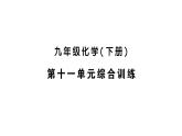 初中化學(xué)新人教版九年級(jí)下冊(cè)第十一單元綜合訓(xùn)練練習(xí)課件2025春