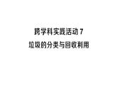初中化學(xué)新人教版九年級下冊第八單元跨學(xué)科實踐活動七 垃圾的分類與回收利用課堂作業(yè)課件2025春