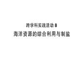 初中化學(xué)新人教版九年級(jí)下冊(cè)第九單元跨學(xué)科實(shí)踐活動(dòng) 海洋資源的綜合利用與制鹽作業(yè)課件2025春