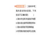 初中化學(xué)新人教版九年級(jí)下冊(cè)第九單元跨學(xué)科實(shí)踐活動(dòng) 海洋資源的綜合利用與制鹽作業(yè)課件2025春