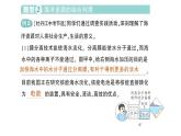 初中化學(xué)新人教版九年級(jí)下冊(cè)第九單元跨學(xué)科實(shí)踐活動(dòng) 海洋資源的綜合利用與制鹽作業(yè)課件2025春