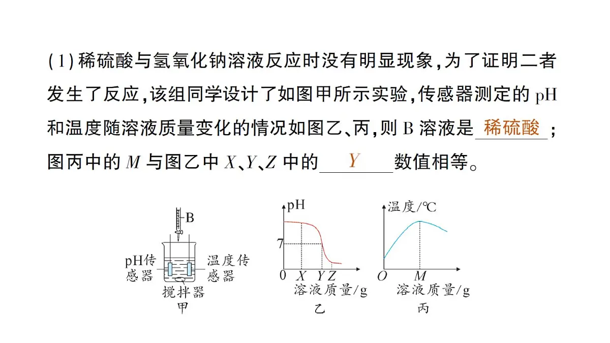 初中化学新人教版九年级下册第十单元实验活动八 常见酸、碱的化学性质作业课件2025春第3页