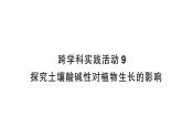 初中化學(xué)新人教版九年級(jí)下冊(cè)第十單元跨學(xué)科實(shí)踐活動(dòng) 探究土壤酸堿性對(duì)植物生長(zhǎng)的作業(yè)課件2025春