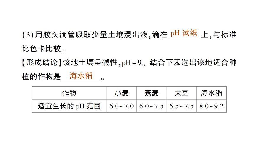初中化学新人教版九年级下册第十单元跨学科实践活动 探究土壤酸碱性对植物生长的作业课件2025春第3页