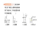 初中化學(xué)新人教版九年級(jí)下冊(cè)第十單元跨學(xué)科實(shí)踐活動(dòng) 探究土壤酸堿性對(duì)植物生長(zhǎng)的作業(yè)課件2025春