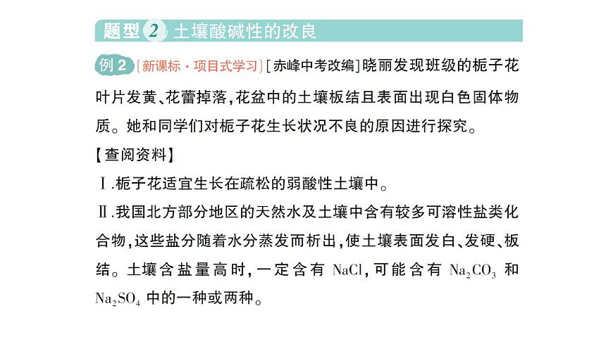 初中化学新人教版九年级下册第十单元跨学科实践活动 探究土壤酸碱性对植物生长的作业课件2025春第7页