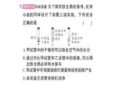 初中化學(xué)新人教版九年級下冊第八單元課題3微專題 金屬銹蝕條件的探究課堂作業(yè)課件2025春