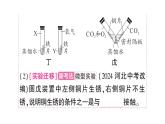 初中化學(xué)新人教版九年級下冊第八單元課題3微專題 金屬銹蝕條件的探究課堂作業(yè)課件2025春