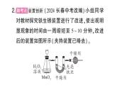 初中化學(xué)新人教版九年級下冊第八單元課題3微專題 金屬銹蝕條件的探究課堂作業(yè)課件2025春