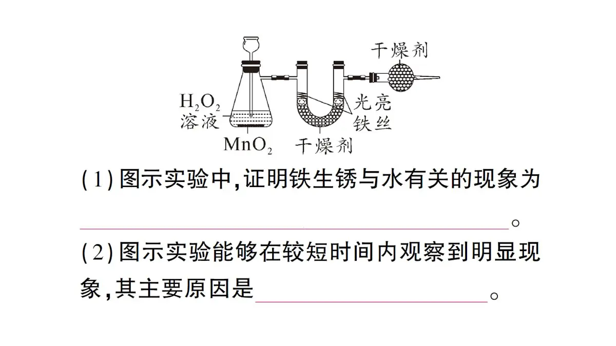 初中化学新人教版九年级下册第八单元课题3微专题 金属锈蚀条件的探究课堂作业课件2025春第6页