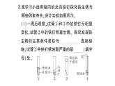 初中化學(xué)新人教版九年級下冊第八單元課題3第二課時 金屬資源保護課堂作業(yè)課件2025春