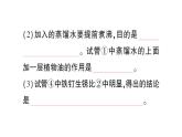初中化學(xué)新人教版九年級下冊第八單元課題3第二課時 金屬資源保護課堂作業(yè)課件2025春