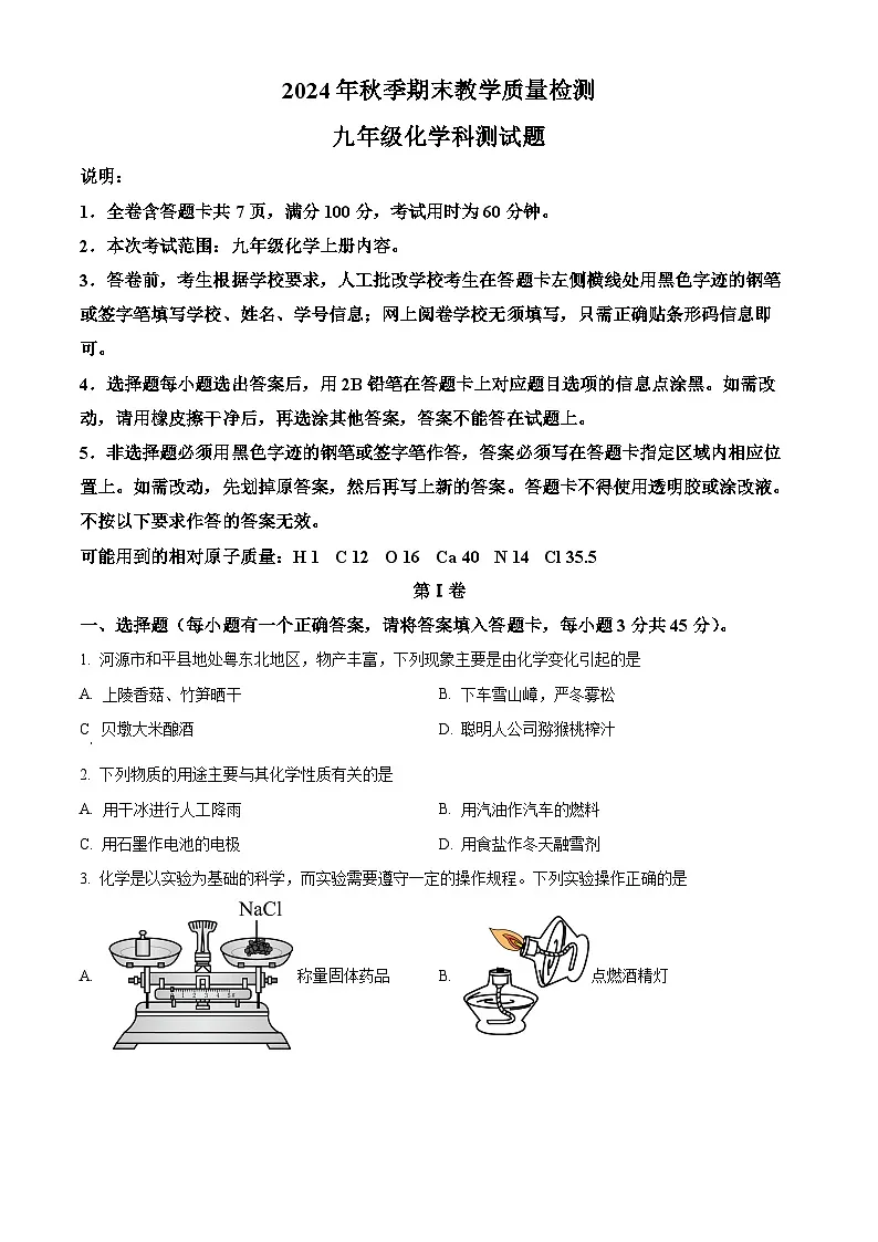 广东省河源地区2024-2025学年九年级上学期期末化学试题（原卷版+解析版）第1页