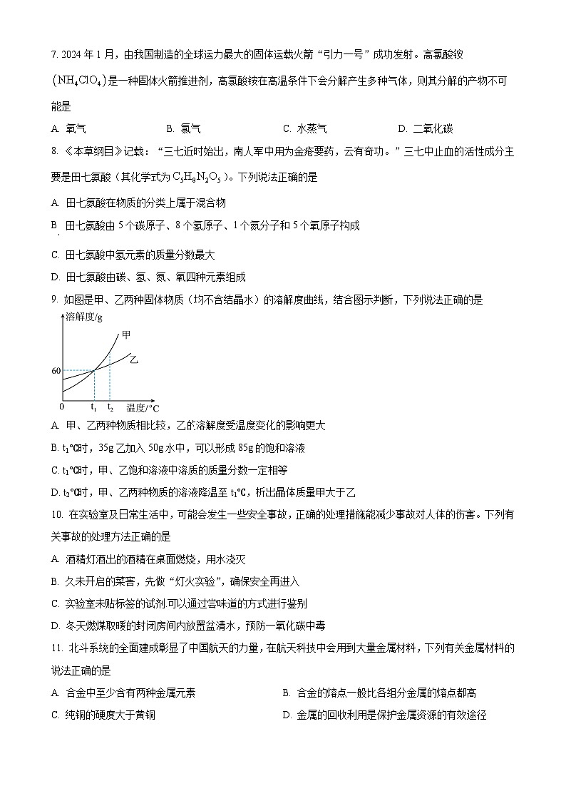 湖南省长沙市岳麓区长沙麓山国际实验学校2024-2025学年九年级下学期开学考试化学试题（原卷版+解析版）第2页