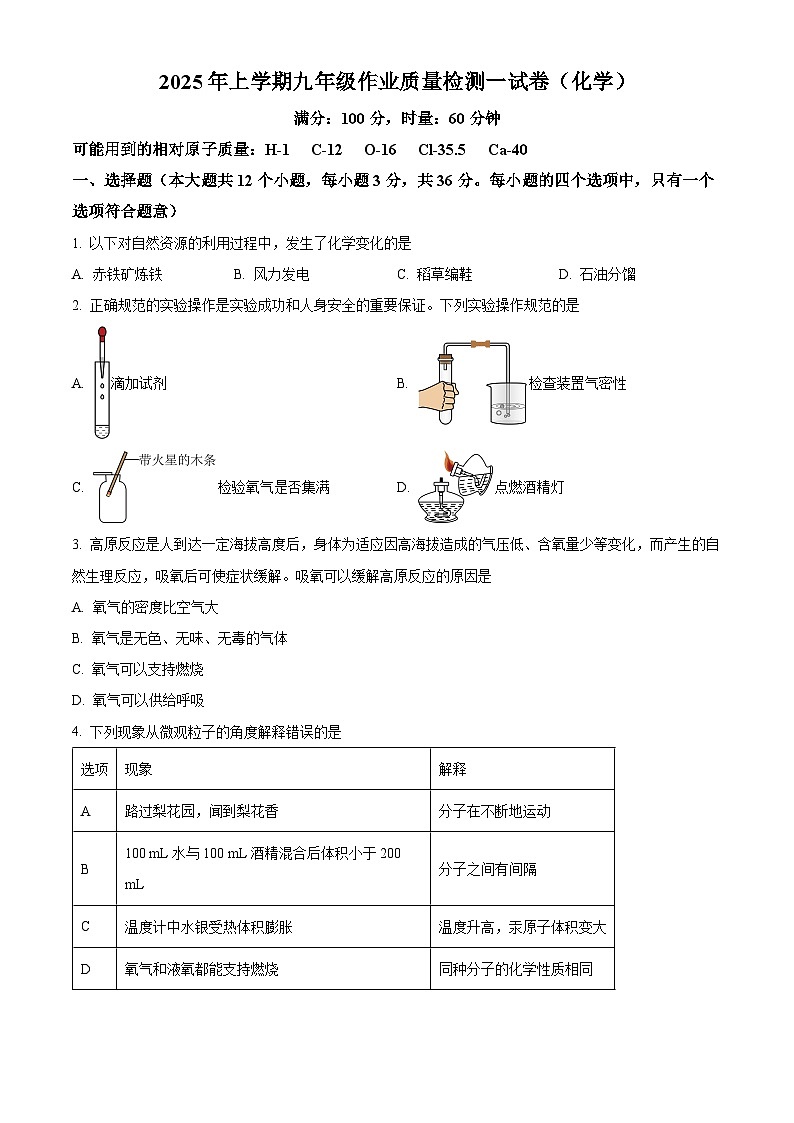 湖南省长沙市南雅中学2024-2025学年九年级下学期开学考试化学试题（原卷版+解析版）第1页
