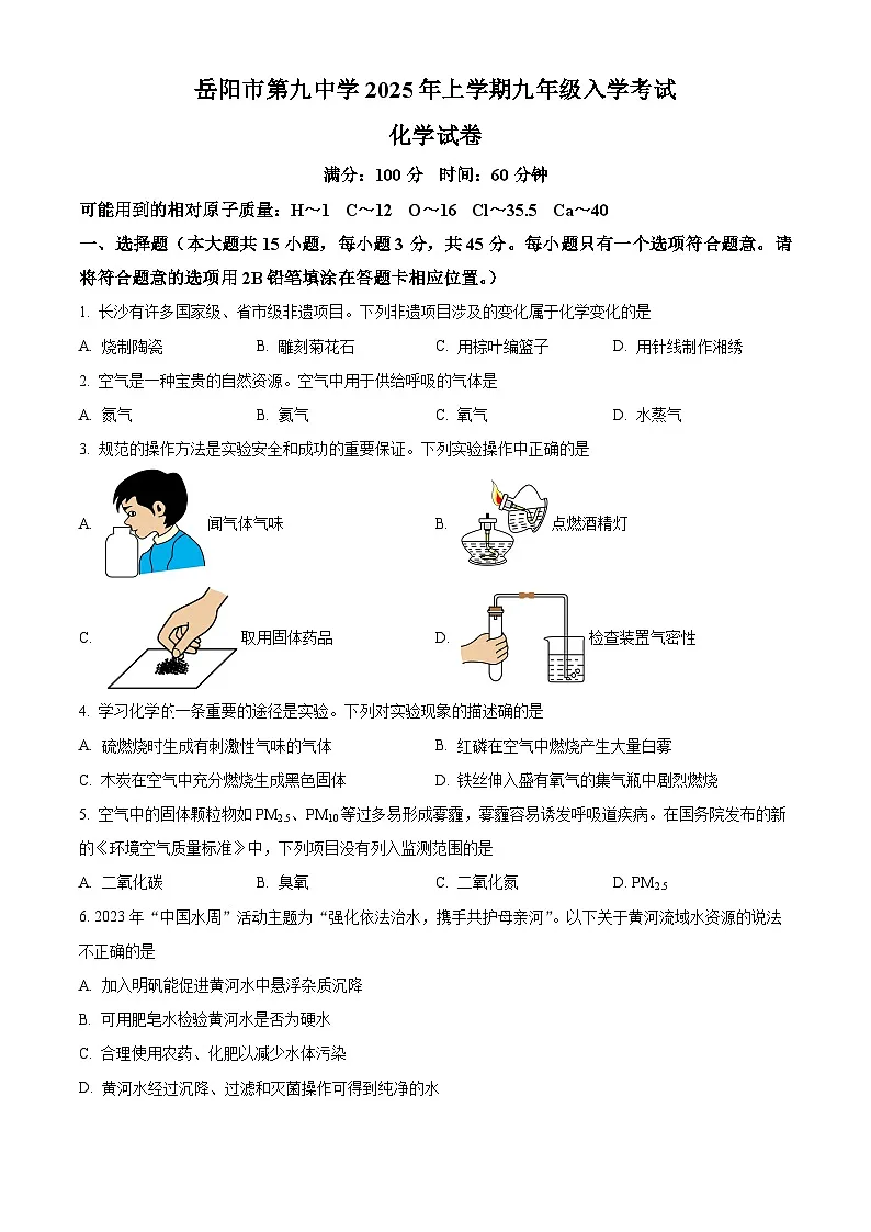 湖南省岳阳市第九中学2025学年九年级下学期入学考试化学试题（原卷版+解析版）第1页