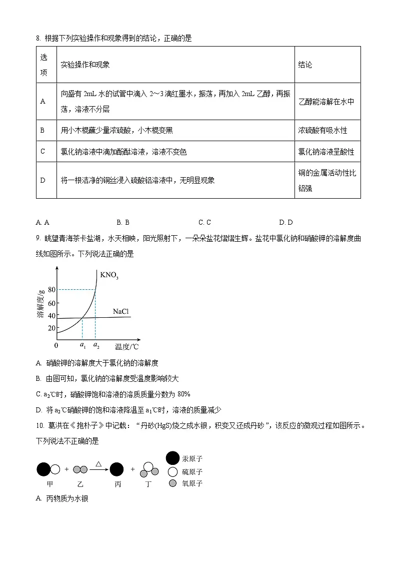 2025年安徽省阜阜阳市重点中学中考一模化学试题（原卷版+解析版）第3页