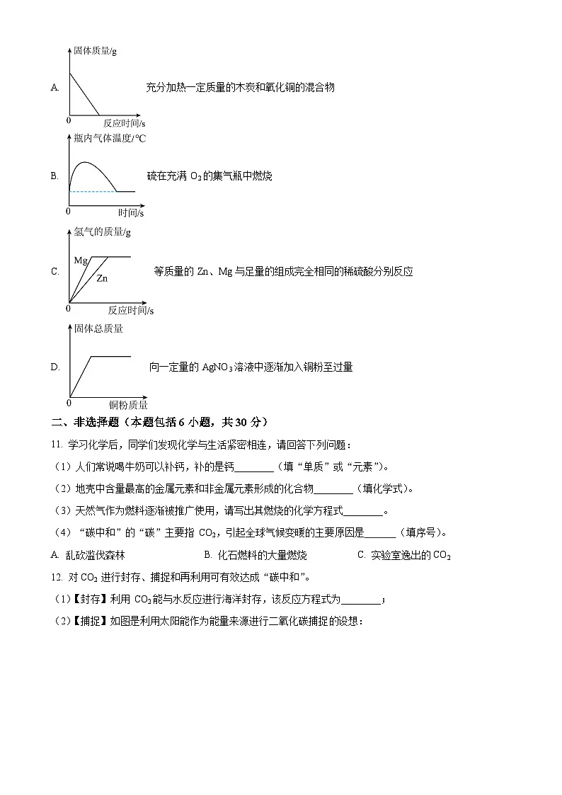 山东省菏泽市曹县2024-2025学年九年级上学期期末化学试题（原卷版+解析版）第3页