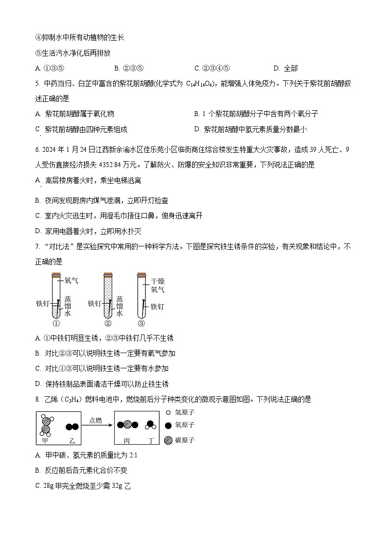 江西省南昌市南昌县2024-2025学年九年级上学期1月期末化学试题（原卷版+解析版）第2页