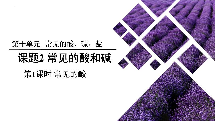 第十单元课题2 常见的酸和碱 第1课时 2025学年九年级化学人教版下册 课件第1页