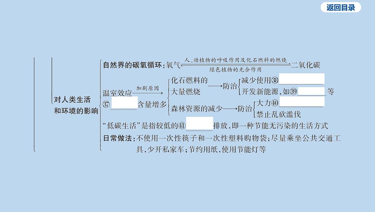 09-第六单元 碳和碳的氧化物课件-2025年中考化学一轮复习第7页