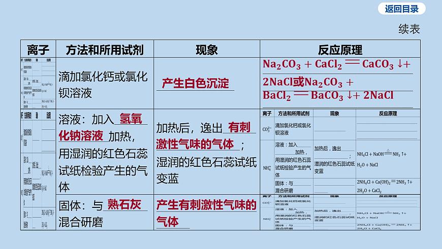 20-第十单元 微专题九 物质的检验和鉴别课件-2025年中考化学一轮复习第3页