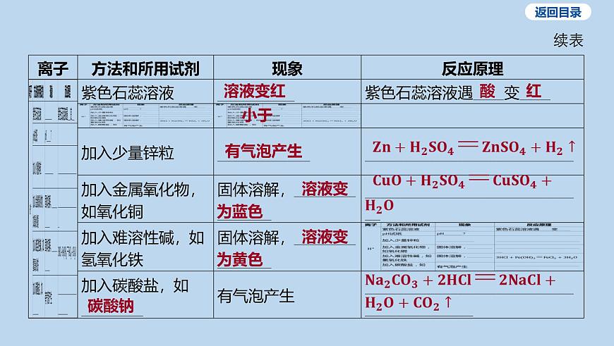 20-第十单元 微专题九 物质的检验和鉴别课件-2025年中考化学一轮复习第5页